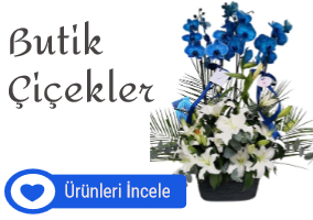 Butik  iekler