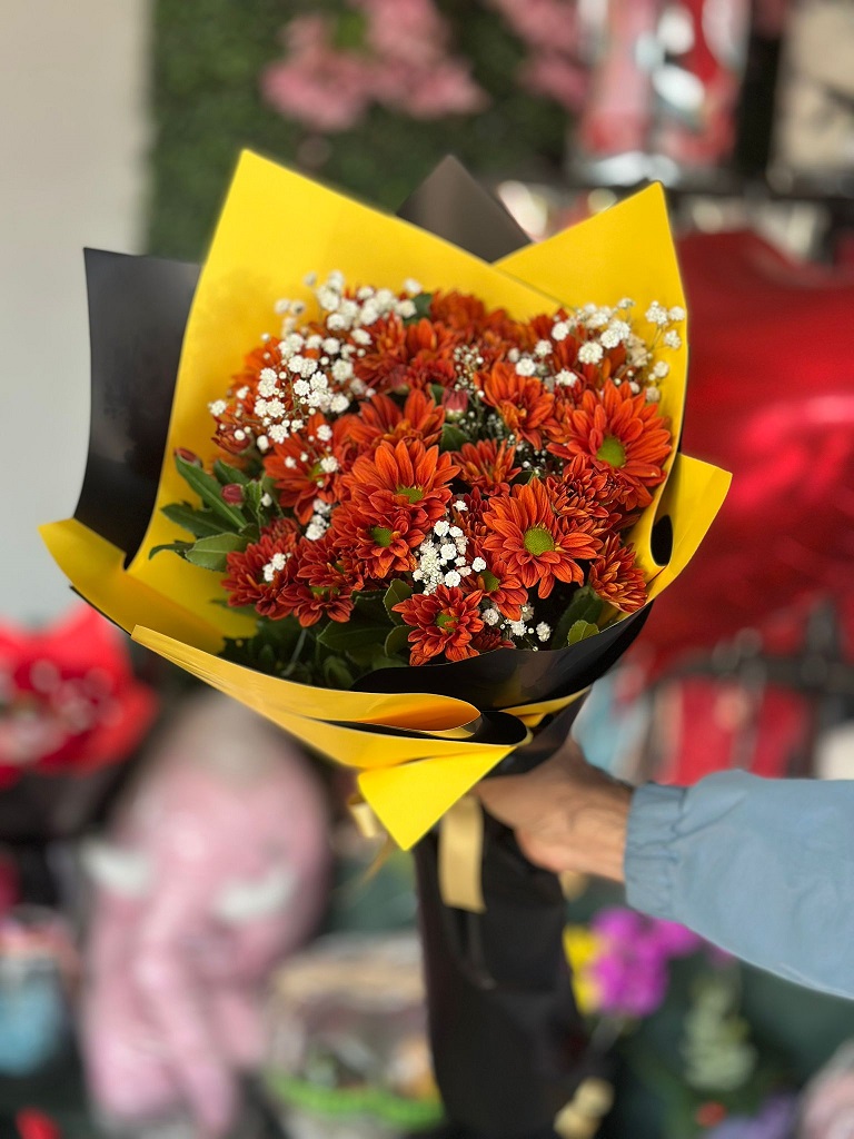 Kiremit Rengi Kasmpat