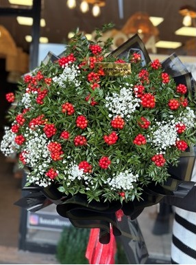 Dev Buket Serisi kOKNA